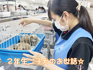 ２年生、子犬のお世話☆